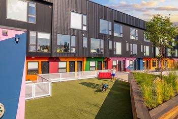 A person is walking a dog on a green lawn in front of a colorful building.